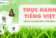 Soạn bài Thực hành Tiếng Việt bài 9 SGK Ngữ văn 6 tập 2 Chân trời sáng tạo chi tiết>