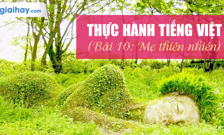 Soạn bài Thực hành Tiếng Việt bài 10 SGK Ngữ văn 6 tập 2 Chân trời sáng tạo chi tiết>