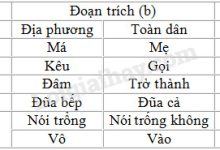 Soạn bài Chương trình địa phương (phần Tiếng Việt) trang 97 SGK Ngữ văn 9 tập 2 (chi tiết)>