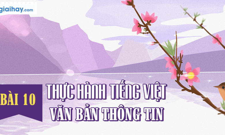 Soạn bài Thực hành Tiếng Việt bài 10 SGK Ngữ văn 6 tập 2 Cánh diều chi tiết>