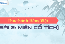 Soạn bài Thực hành tiếng Việt 2 SGK Ngữ văn 6 tập 1 Chân trời sáng tạo chi tiết>